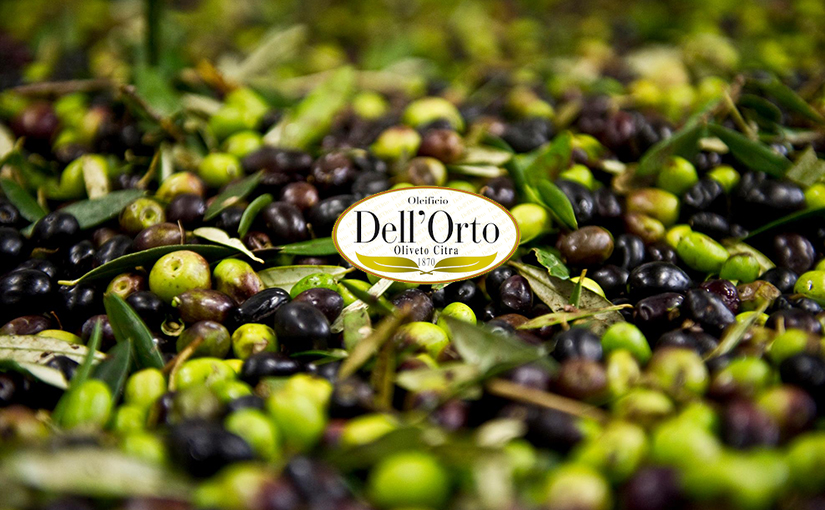 High quality olive oil
